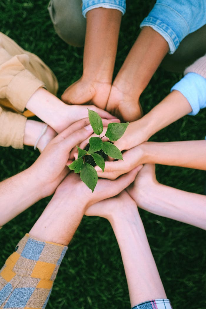 about-img-01 Hands united around a plant symbolizing teamwork and eco-friendly efforts outdoors.